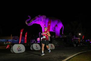 BIB: 
                            <button type="button" onclick="openModal(26533972)" class="btn btn-primary btn-sm float-right btn-popup" data-toggle="modal" data-target=".modal-high-quality">
                        <i class="fas fa-shopping-cart"></i> Add to Cart
                    </button>
                                            <button type="button" onclick="isThisMe(26533972, true)" class="btn btn-success btn-sm float-right btn-popup btn-isme hidden" data-toggle="tooltip" data-placement="bottom" title="นี่คือรูปของคุณใช่ไหม คลิกที่นี่เพื่อเอาเข้าอัลบั้ม">
                        <i class="fas fa-plus"></i> Add to album
                    </button>
                    <button type="button" onclick="isThisMe(26533972, false)" class="btn btn-warning btn-sm float-right btn-popup btn-isnotme hidden">
                        <i class="fas fa-ban"></i> Remove from album
                    </button>